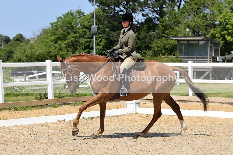 1X9A1887 - Class 12: Ridden Riding Horse/Hack