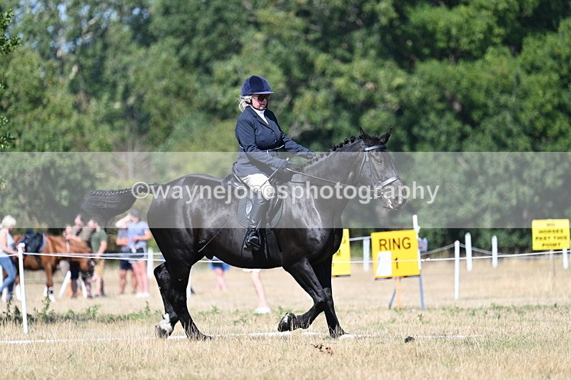 WJ7_9886 - Time 11:03 to 11:28