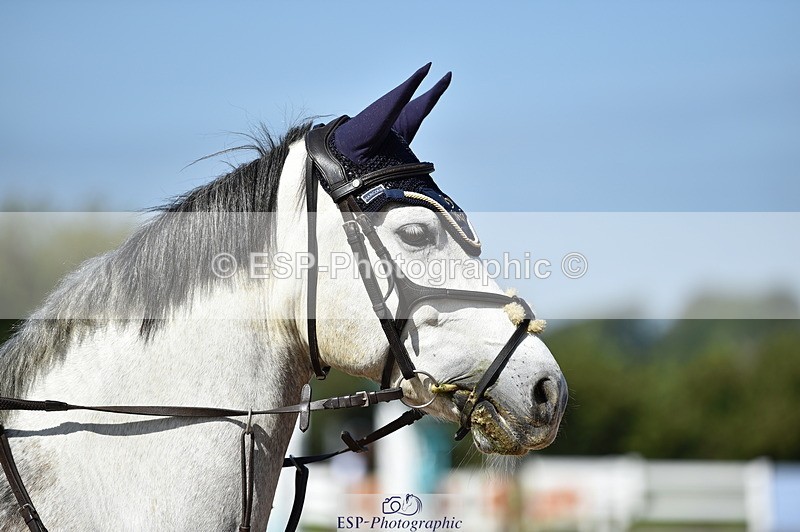 230903A-113450-04210 - Cls 18 Pony Brit Novice & 80cm Open