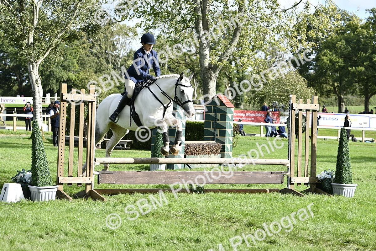 SBM_49969 - S34 - Novice & Newcomers Working Hunter