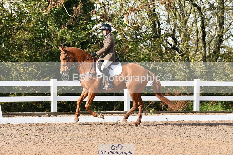 231104A-121512-00401 - Cls 7 Elementary 43