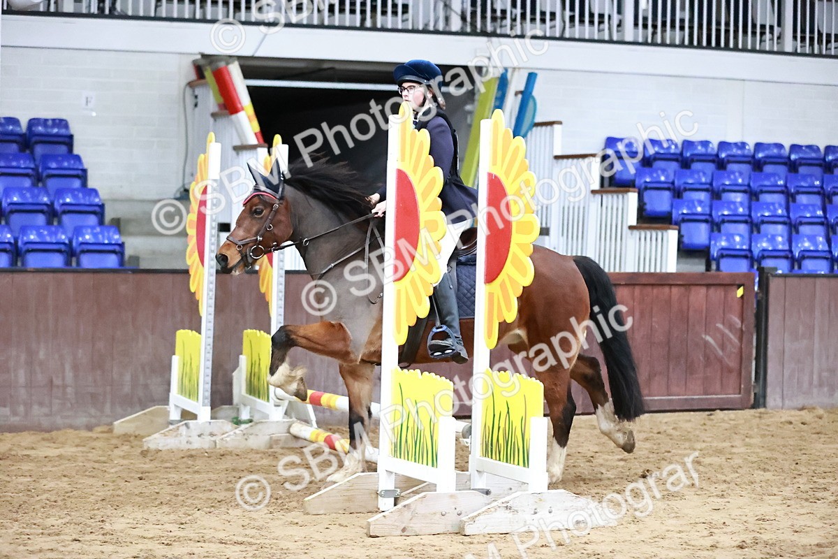 SBM_000421 - Class 2 - Show Jumping 50cm