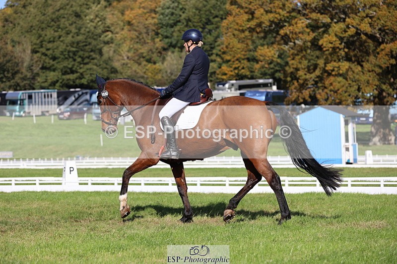 251024A-122224-10172 - D-361-Alison.Gill