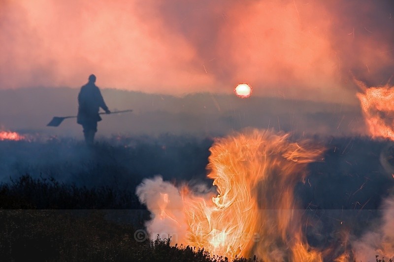 Gorse burning as the sun goes down - Life on Man