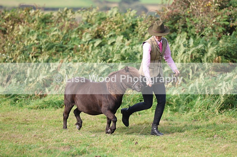 3E7A3160 - Class 12: M & M Small Breeds