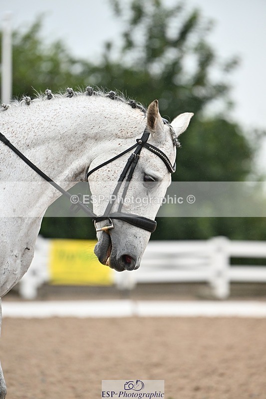 250705-121304-01554 - P3 Sections BDP3SNR, BDP3JNR 11.23 to 12.26