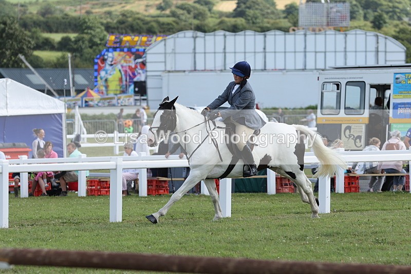 JPP_2379 - Class 19: Working Hunter 60cm