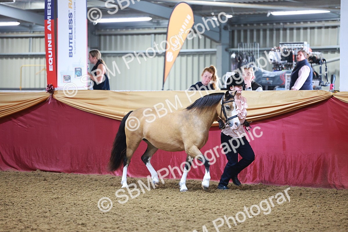 SBM_14674 - Class B - Junior Champ 11 to 16 Years