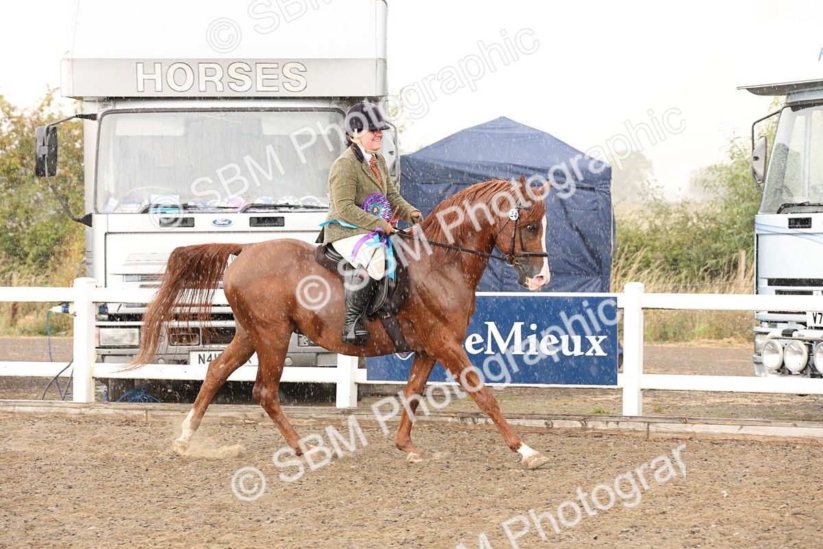 SBM_07605 - Class 59b -  Style & Performance - 80cm (20+)