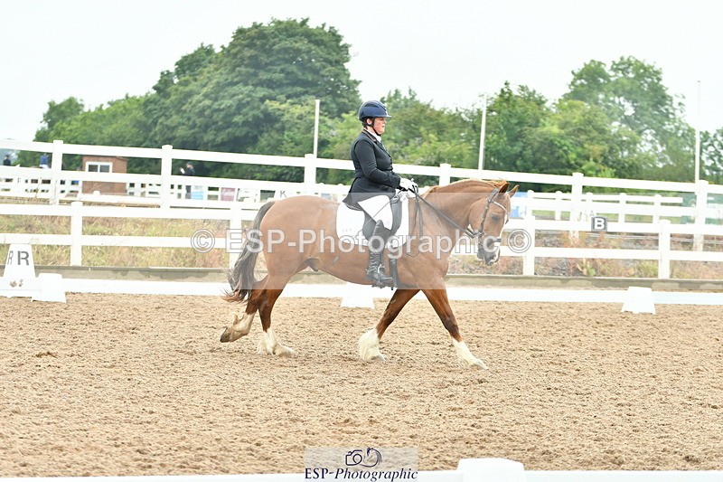 230708A-135408-02865 - Elementary 43