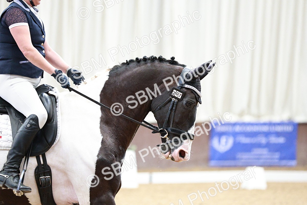 SBM_004828 - Class - 14 - Novice FSM - 11.13-12.01