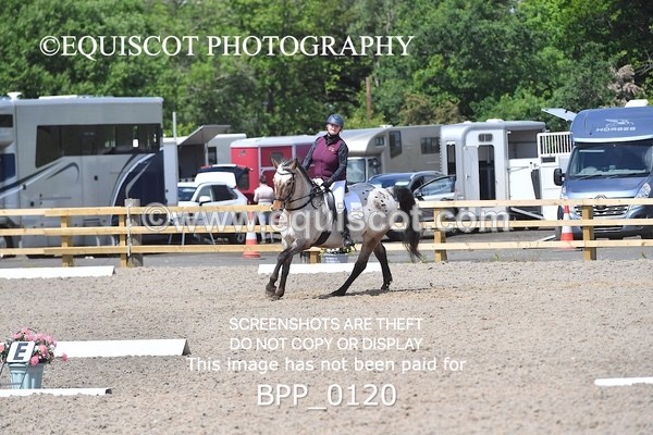 BPP_0120 - SHORT ARENA  MY QUEST PRELIM