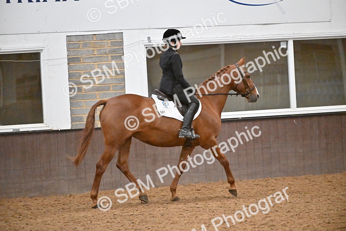 SBM_003010 - Class 37,38 - UKPSAF Performance Horse & Pony