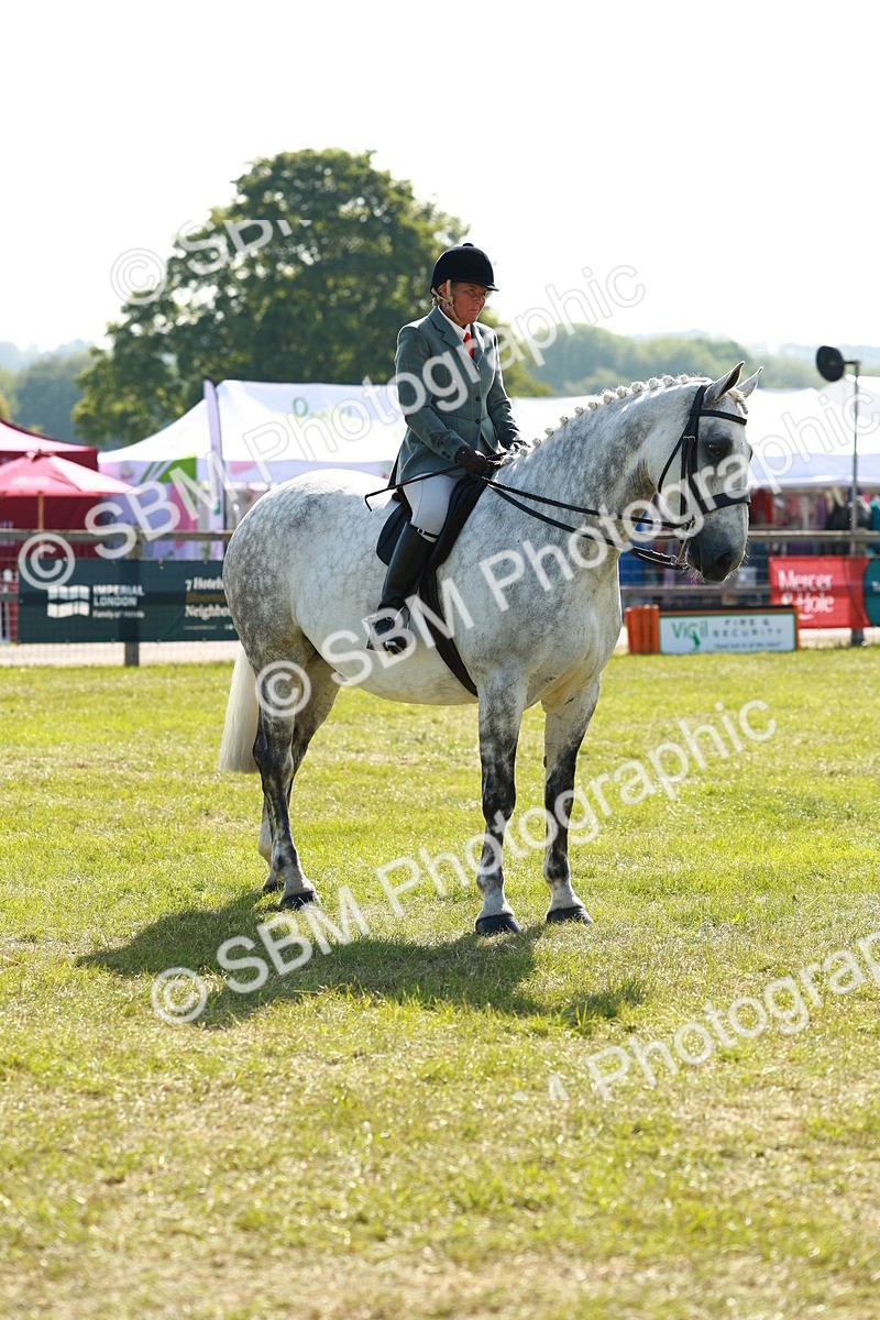 SBM_11838 - Class 66-69 - RIHS Ridden Hunters Inc Small Hunter