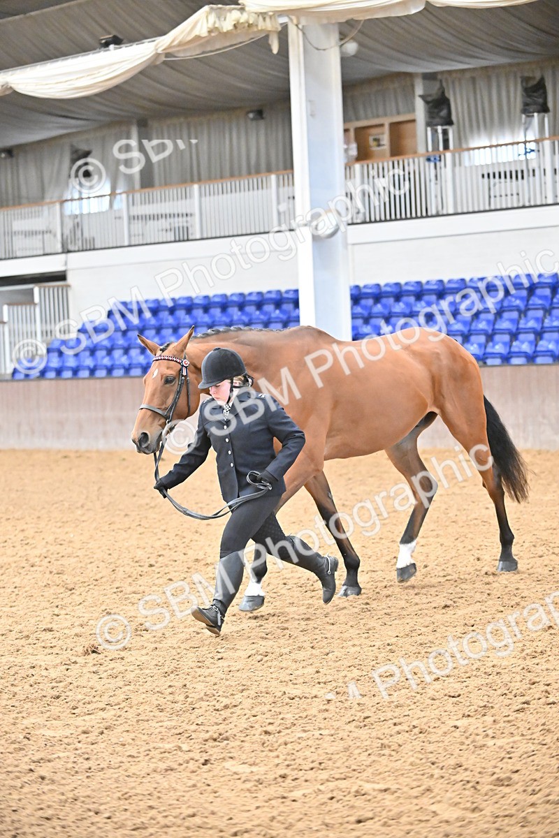 SBM_000229 - Class 7 - ROR Tattersalls In Hand