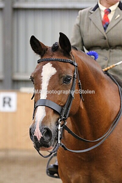 SIAL2765 - Sunday 14th Ridden