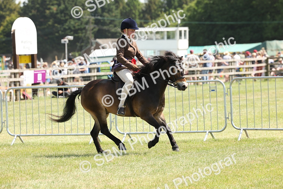 SBM_06869 - Class 26-30 - Mountain and Moorland Ridden