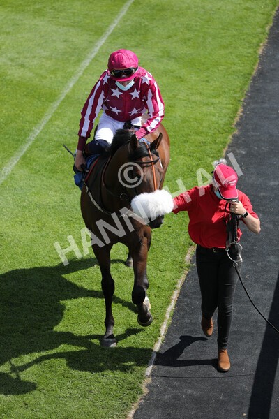 yr11062021r3-9 - Race 3 2.55pm SKF Rous Selling Stakes