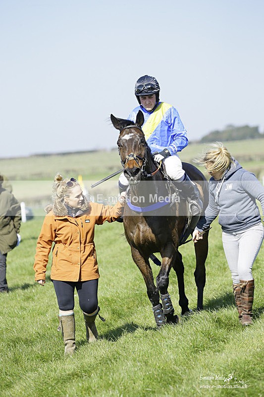 PtP 190322 247 - Wilton Hunt PtP Milborne St Andrew 19/03/22