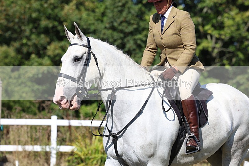 3E7A5868 - Class 5: Working Hunter 90cm