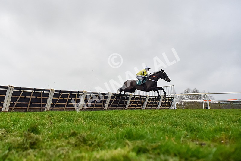 060324-Race 3-Sweet Fantasy-2231 - Race 3