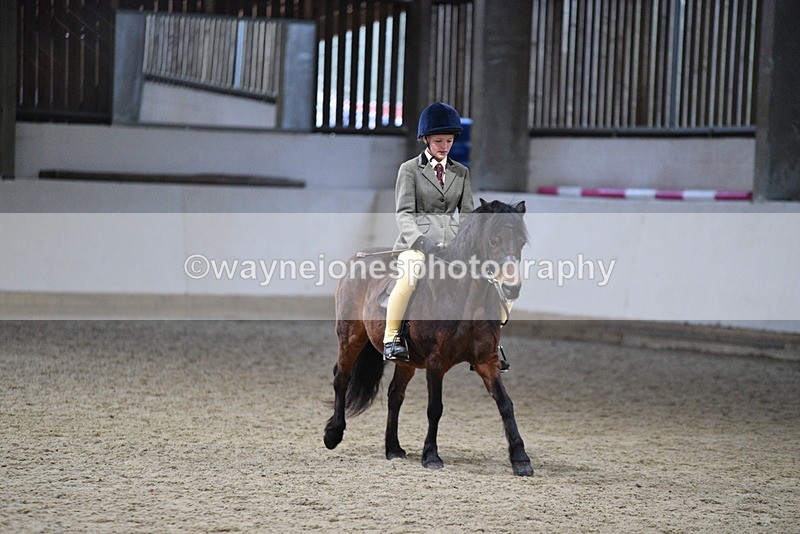WJ5_8597 - Class 14 Novice Ridden/Rider