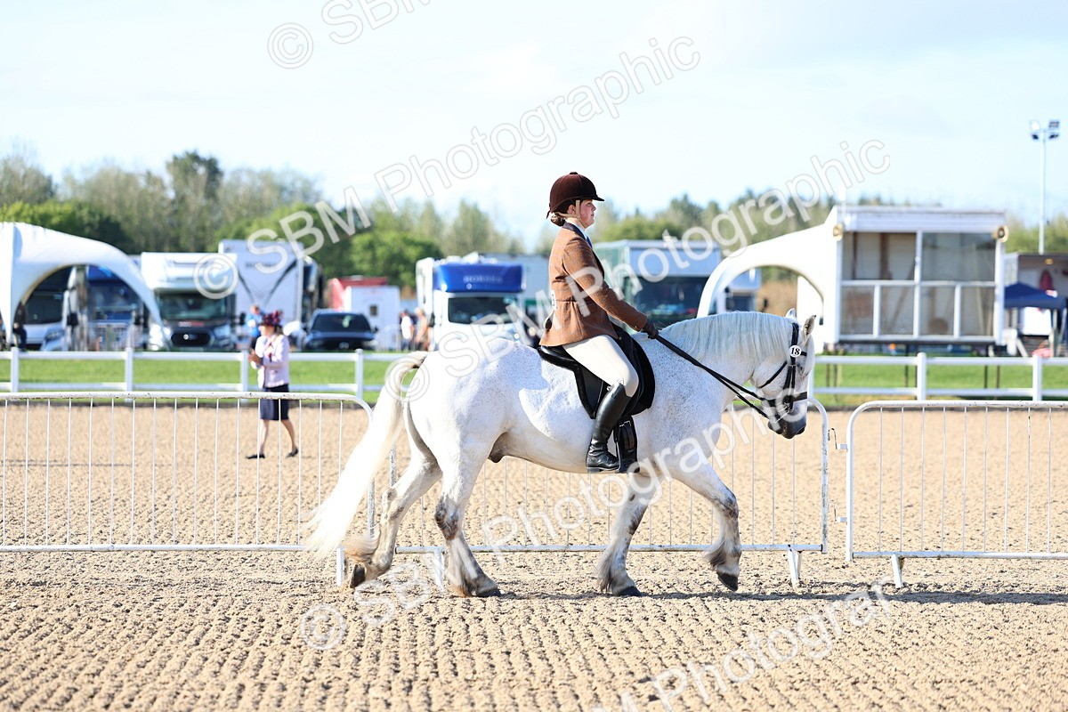 SBM_08709 - Class 302 - Ridden M&M - Large Breeds