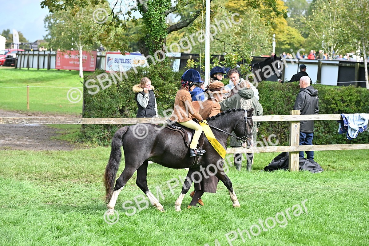 SBM_39323 - Lead Rein Supreme Championship