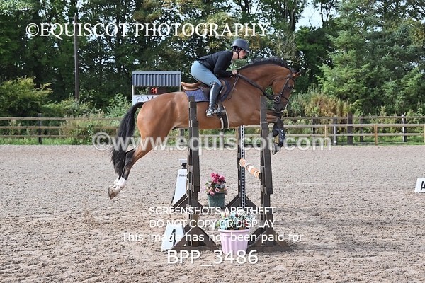 BPP_3486 - CLASS 36 SUN Senior British Novice/ 90cm Open