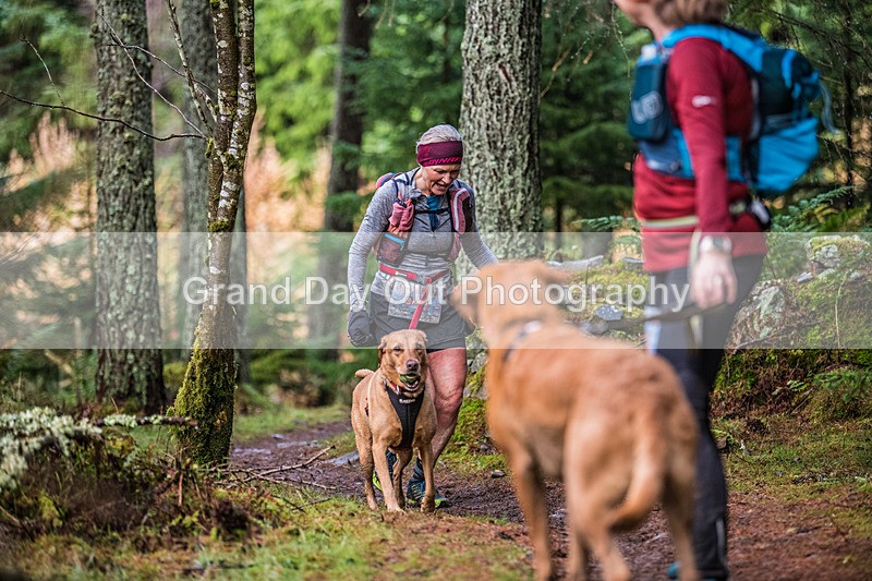 Glentress-2407 - High Terrain Events Glentress Winter Trail half Marathon & 10K Trail Run Saturday 19th November 2022
