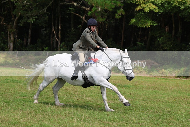 3E7A6120 - Working Hunter Championship