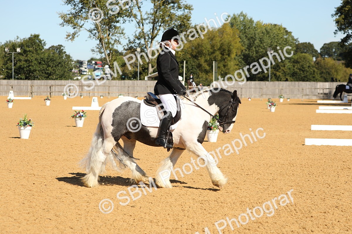 SBM_18876 - D10 - Small Tour Championship - Prelim 2