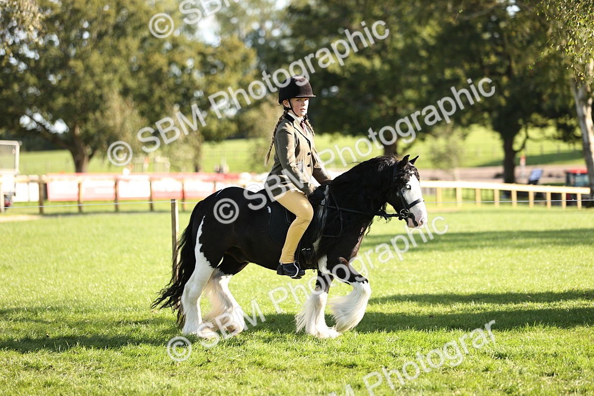 SBM_29336 - S7 - Novice & Newcomers Ridden Pony