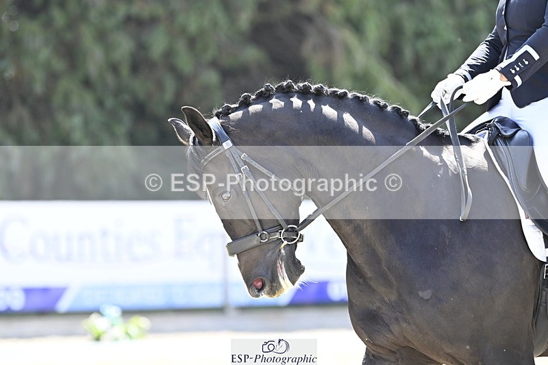 250810A-120119-05618 - 139-Joanna.JohnsRockoko