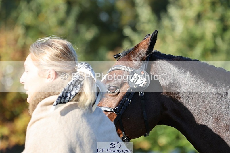 241027-093448-15367 - 402-Ella.Matravers-BALLYMITTY.MAC