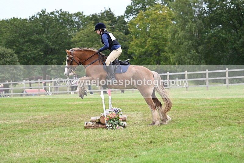 WJ7_7715 - 40cm Time 10:49 to 11:18
