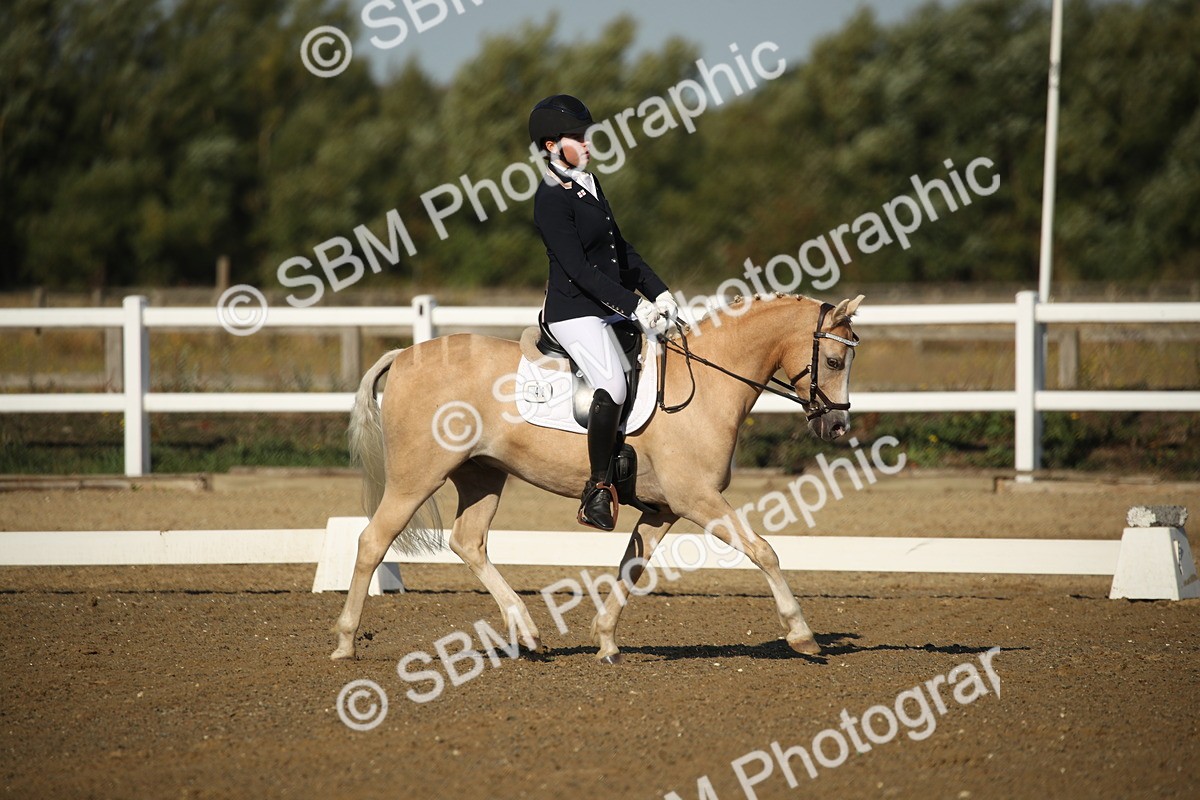 SBM_004456 - Class 11 - Novice 5 - 9.0010.03