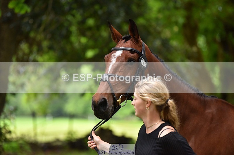 240522-173022-01661 - 292-MY_DREAM_H.J.-Pippa_Royle