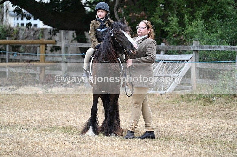 WJ7_8106 - Class 4 Prettiest Mare up to 14.2hh