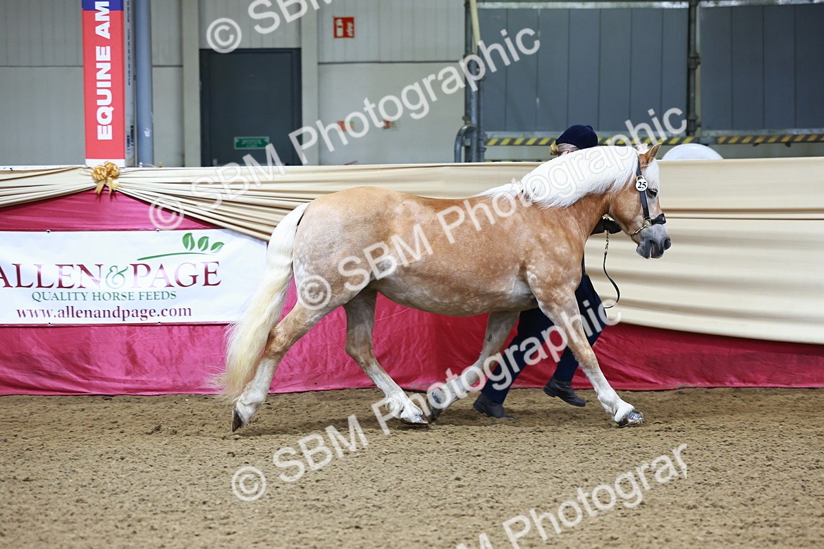 SBM_21651 - Class 901 - Supreme Final - IH  Diamond