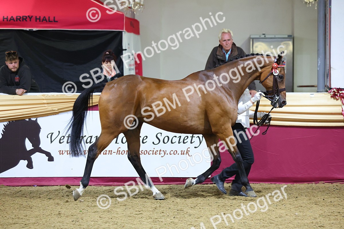 0B8A4548 - Class P Veteran Champ