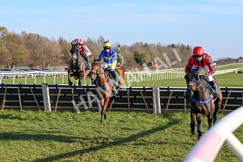 050325-Race 4-Hostile Hotelier-9794 - Race 4