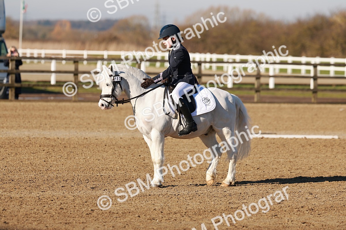 0B8A1591 - Class 7-8-6 - E1-PYO-N2