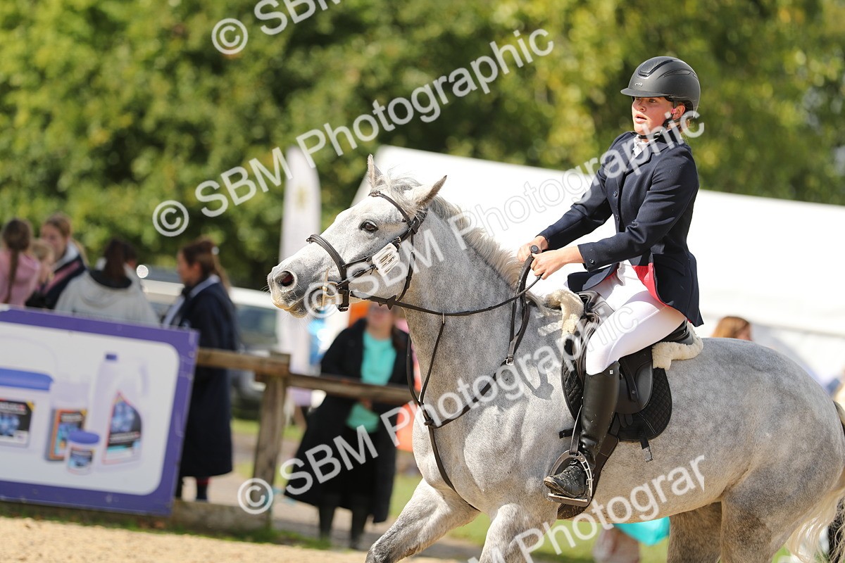SBM_40263 - J21 - Junior Horse 60cm Championship