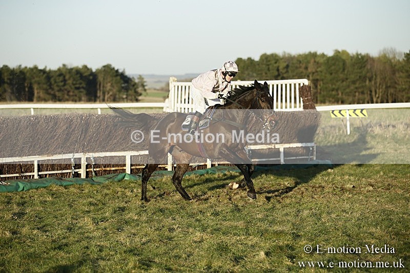 PtP 070118 -712 - Larkhill Racing Club Point to Point Larkhill 07/01/2018