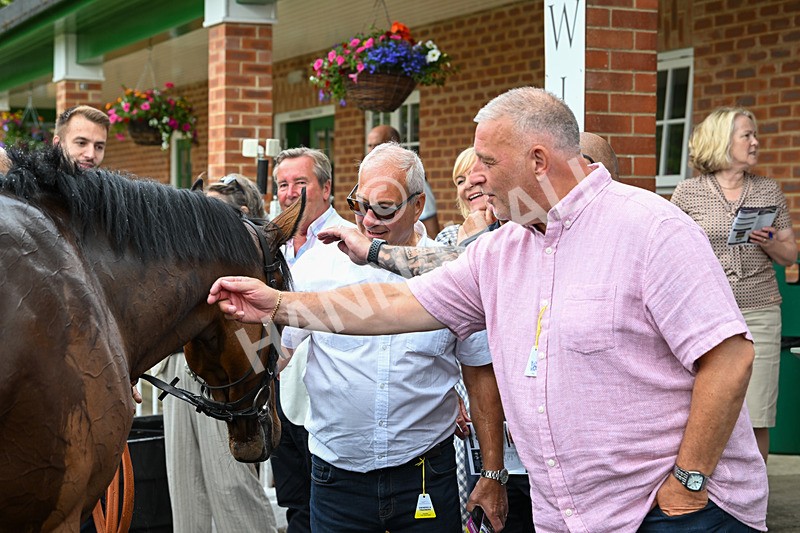 170625-Race 1-Royal Fixation-4460 - Race 1