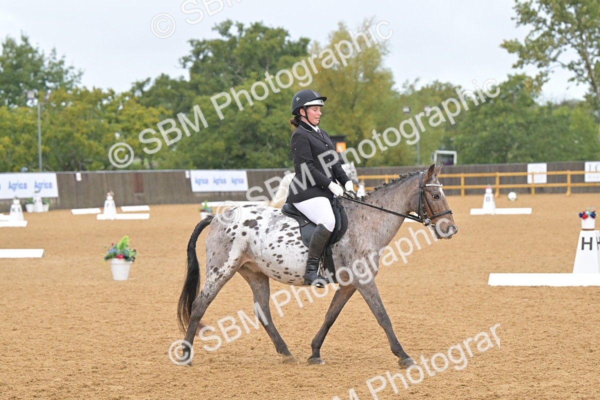 SBM_00497 - D2 - Small Tour Championship Intro 2