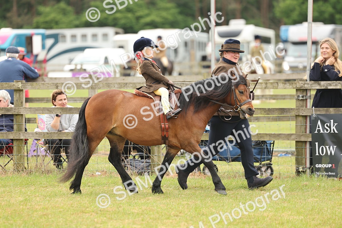 SBM_06663 - Class 74-75 - M&M Lead Rein and First Ridden Pony