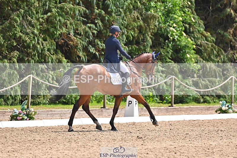 250523A-142101-07306 - B-362-Kat.Raybould-THE.ELLFIELD.DIKSTER