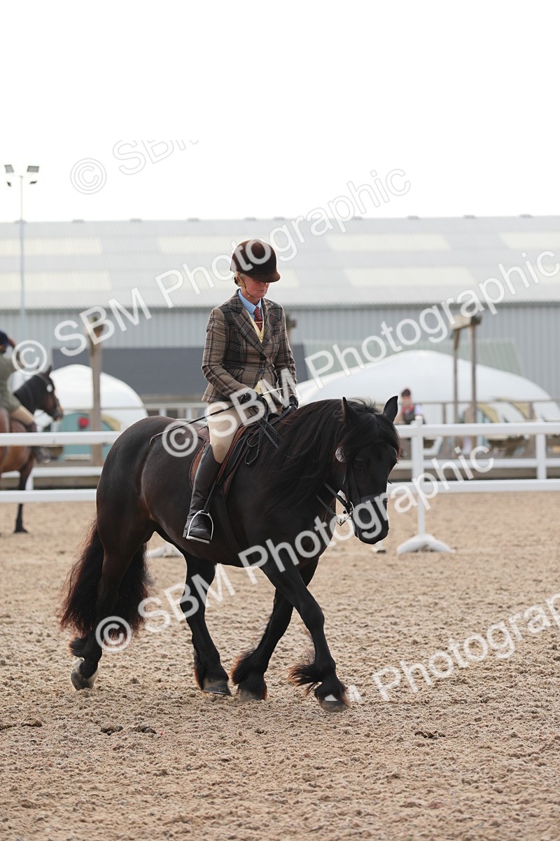 SBM_10054 - Class 302 Ridden M&M -Large Breeds